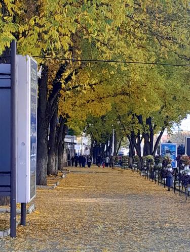 ���������� �����