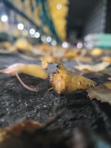 Ƹ���� ���� �������...