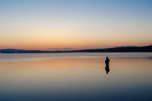 �������������