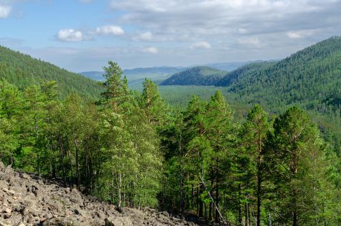 ������� ���� �����