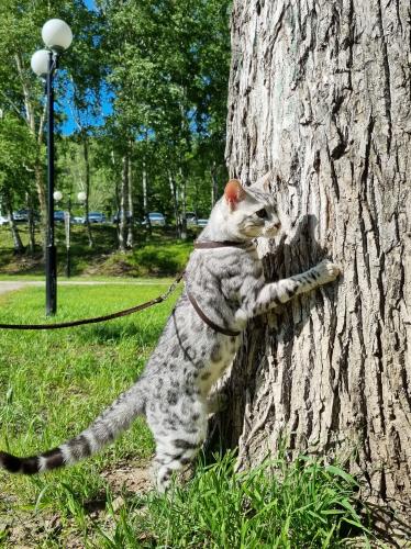 ����������� ����!