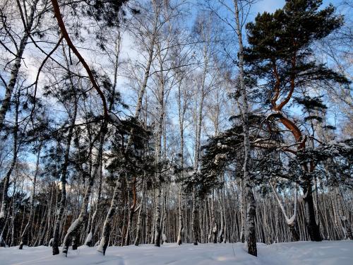 ��������� ���.