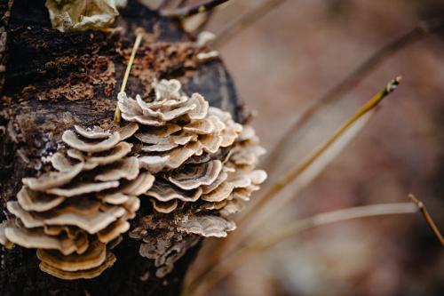 ����� � ��� ���������