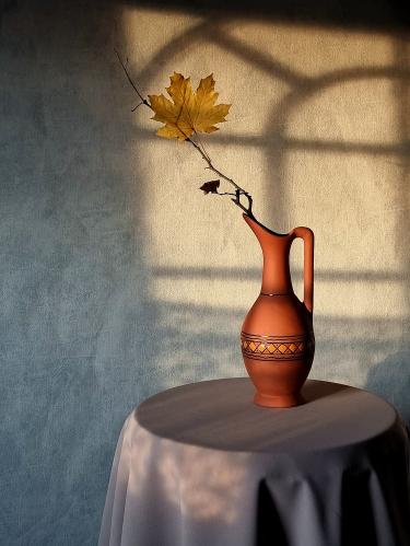 ��������� ����