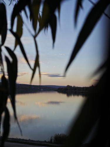 ����������� �����