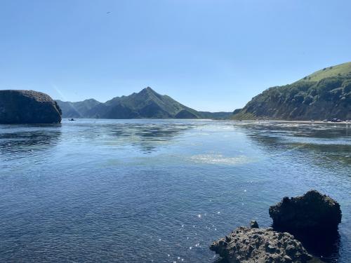 ����� �����