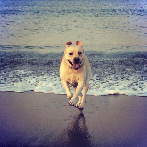 ���� � ������