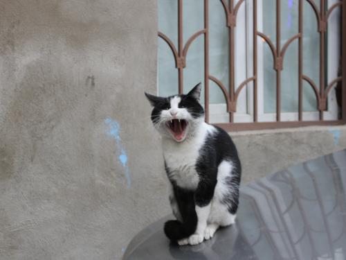 ������ ���� �������!