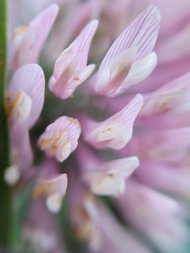 �������� ������