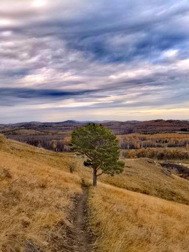 ������� ��������