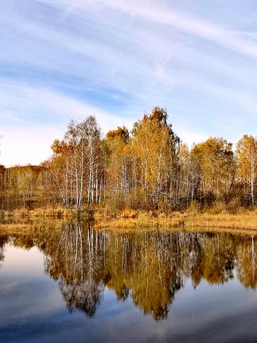 ��������� ���