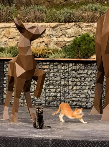 ���������� ��������