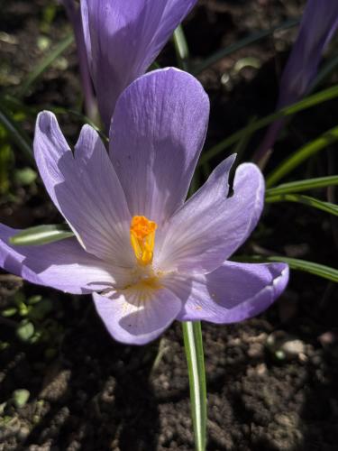 ������ �����