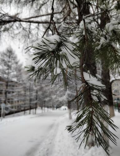 ���� ������ 