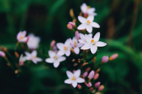 ������� ������