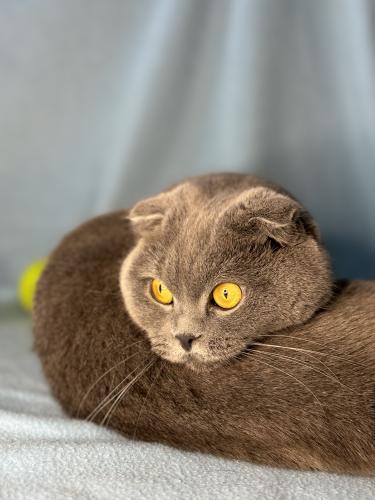 ������ �����