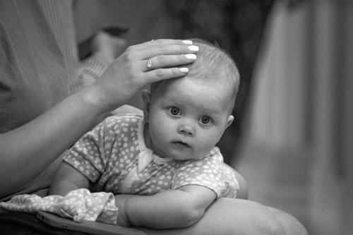 ������ ������