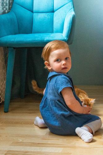 ���������� � �������