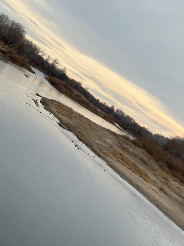 ����� ..����