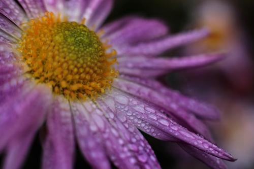 ����� ����� � ������. 