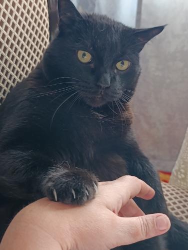 ��� ������