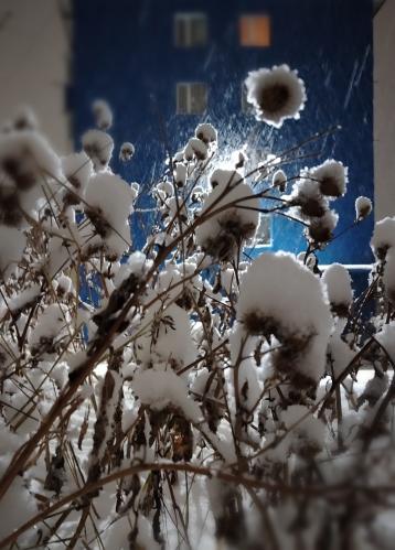 ���������� �������