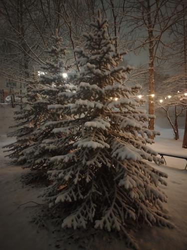 ���������� ����