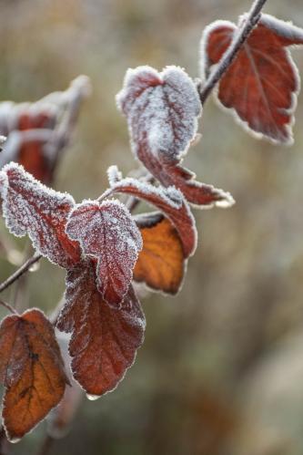 ��������� ������...