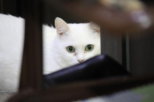 ���� ������...