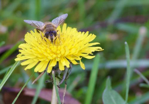 ���������� ���� � ����������