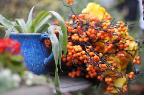 ��� ������ �����