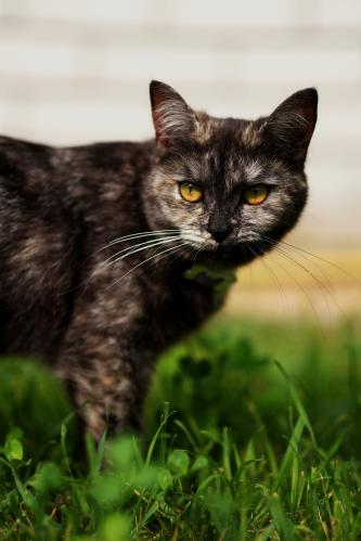 ������ � �����