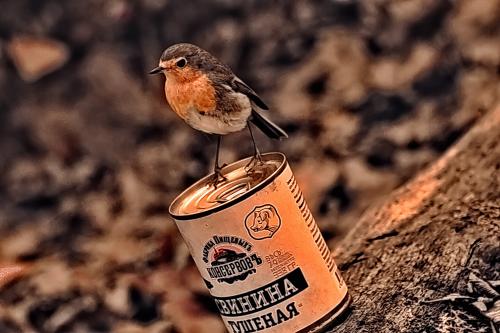 ������� ������ � ������� 338 ������� 4