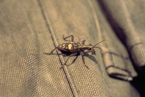 ��������� ����� 3