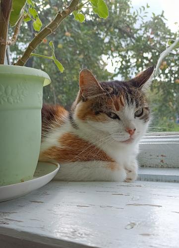 ����� �� ������