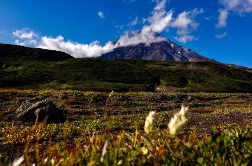 � �������� ���������� 