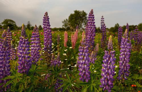 ��������� ������