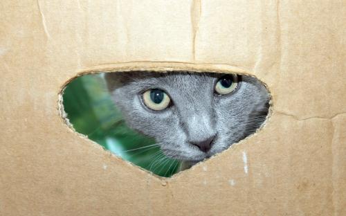 � � ������