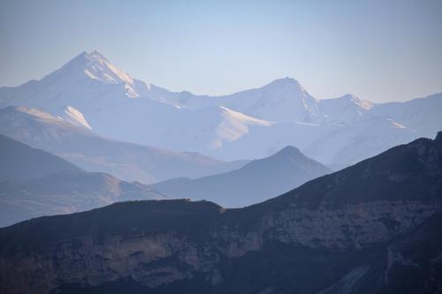 �� ������