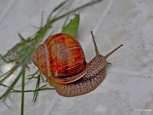 � ������� ����.