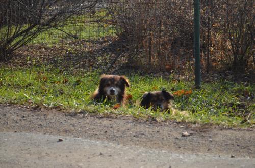 ����� �� ������