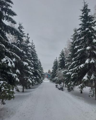 ������� �����