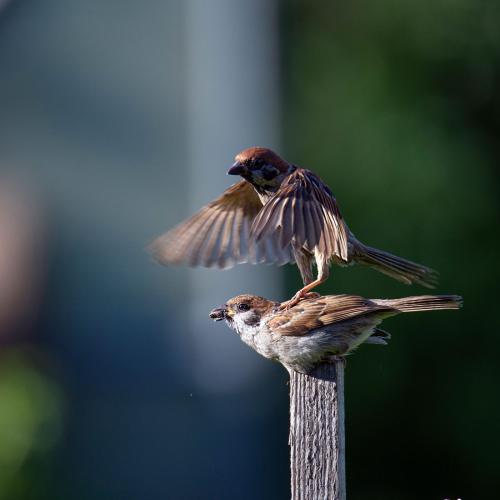 �����������...