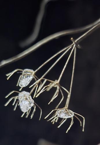 ��������-������