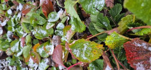 ����� �������� �����