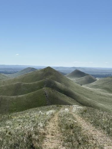 � ������ �����