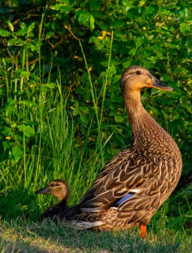 ���� ���� �� ������...