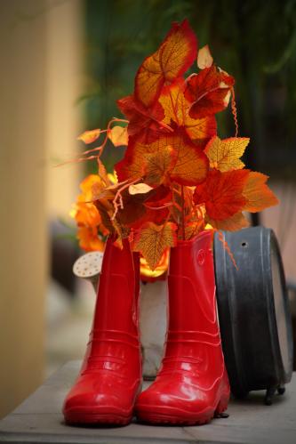 ����� � ��������. 