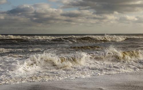 ������� ���� ���������...