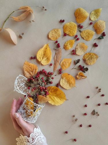 ������� �������